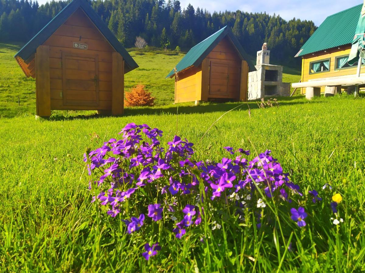 Eko Katun Damjanovic - Bjelasica Mojkovac Ngoại thất bức ảnh